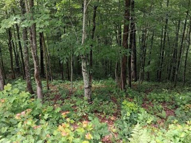 Land for sale in Sylva, North Carolina