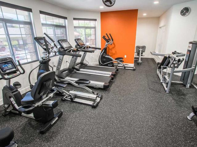 Apartment for rent in Fort Collins, Colorado