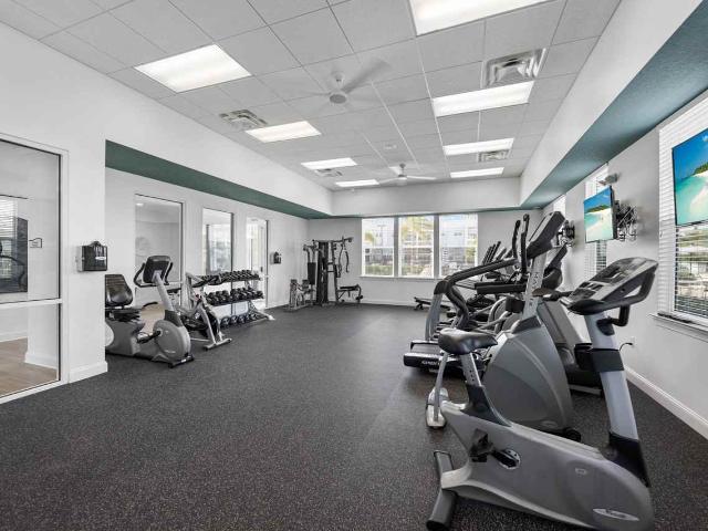 Apartment for rent in Florida