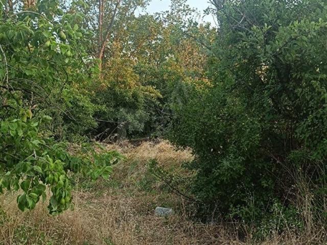Osmangazi, Bursa içerisinde satılık mülk