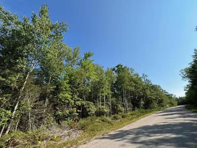 House for sale in Alpena