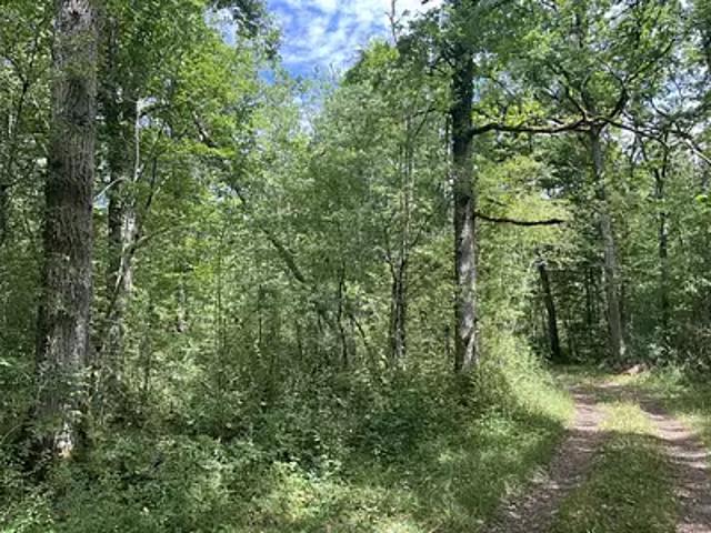 Terrain vente à Montargis, Pressigny-les-pins