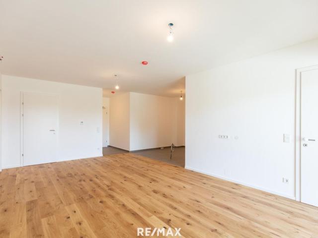 Wohnung kaufen in Neusiedl am See, Burgenland