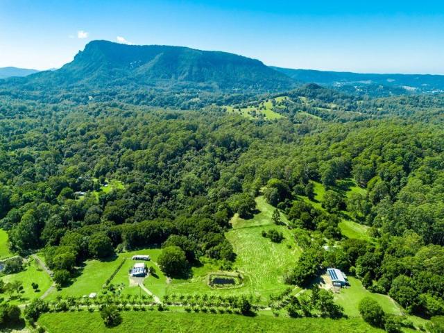 Cottage for sale in Lillian Rock, New South Wales