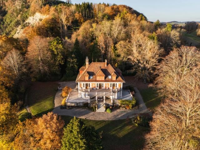 Einfamilienhaus kaufen in Puidoux, Waadt