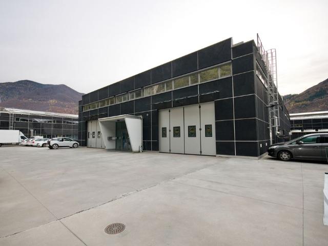 Büro kaufen in Arbedo-Castione, Tessin
