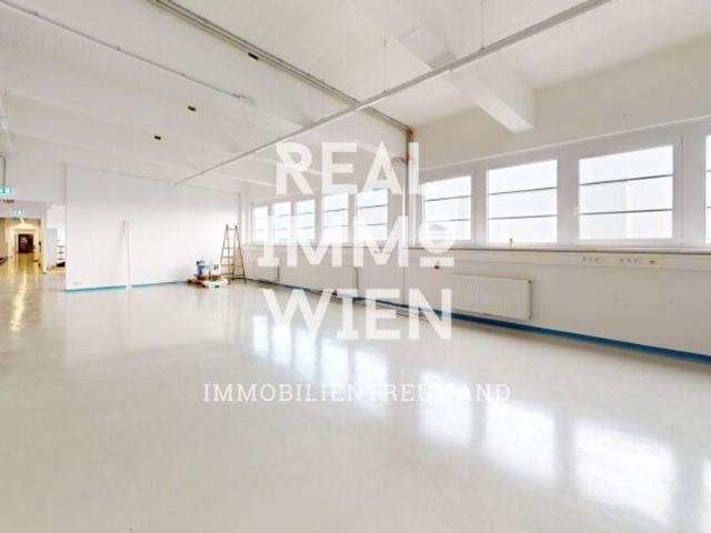 Büro mieten in Katastralgemeinde Traiskirchen, Traiskirchen