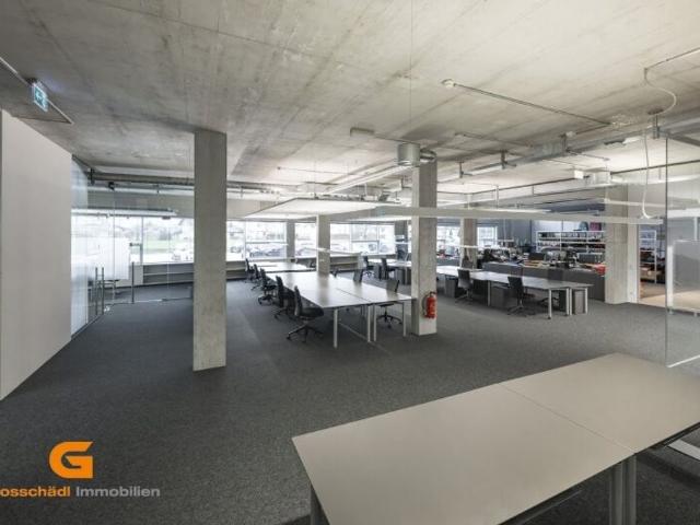 Büro mieten in Anif, Salzburg