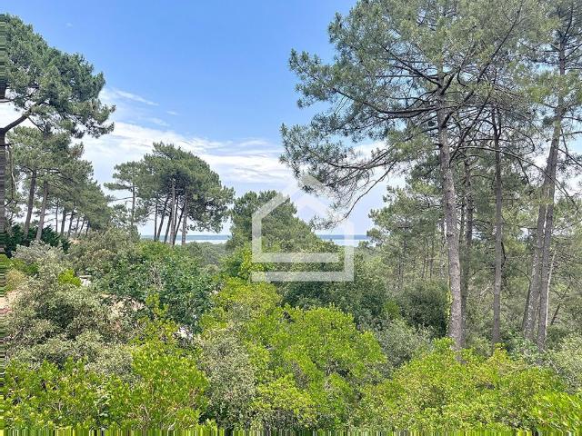 Maison vente à France métropolitaine, Lacanau