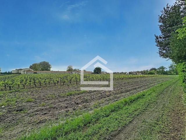 Maison vente à Lesparre-Médoc, Margaux