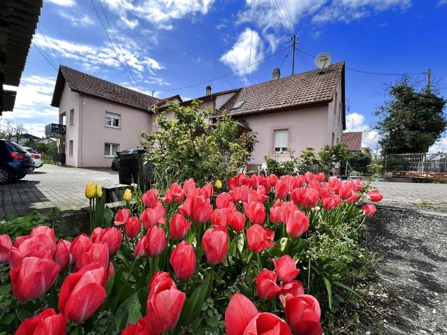 Maison vente à Sarrebourg-Château-Salins, Saint-louis