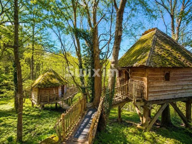 Maison vente à Colmar-Ribeauvillé, Thannenkirch