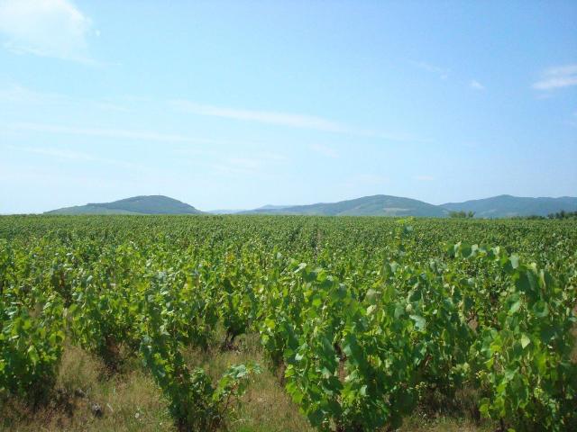 Maison vente à Villefranche-sur-Saône, Rhône