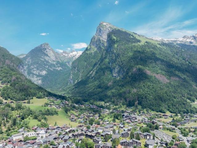 Appartement vente à Bonneville, Samoëns