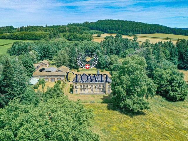 Château vente à Mâcon