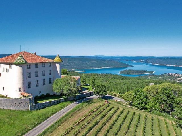 Château vente à Cannes