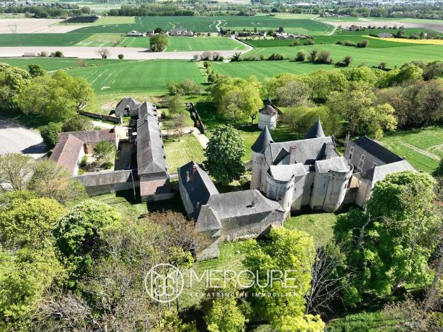 Château vente à Loches, La Celle-saint-avant