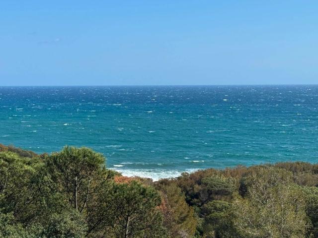 Château vente à Arrondissement de Draguignan, Saint-tropez