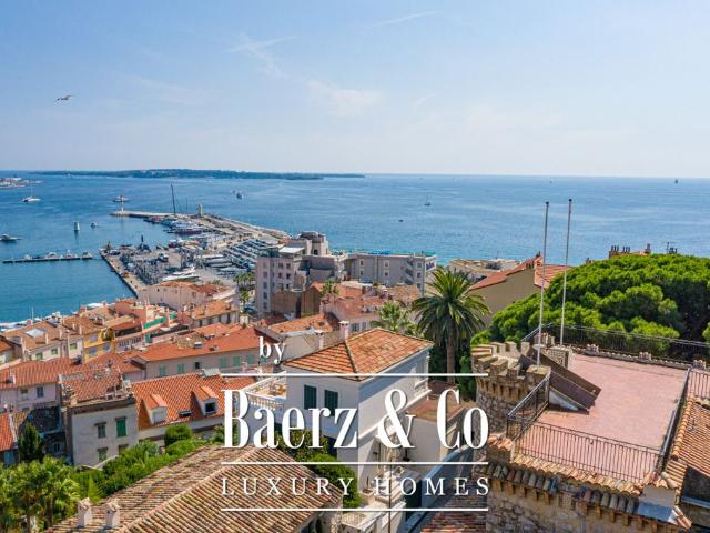 Château vente à Cannes, Cannes Passy
