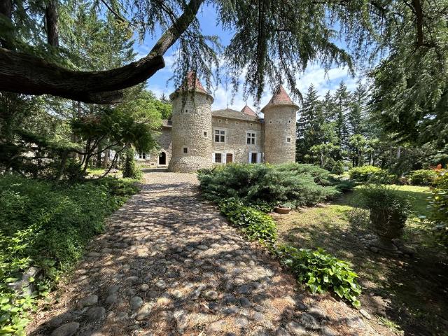 Château vente à Valence, Albon