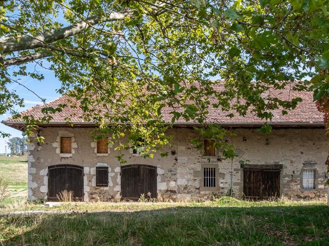 Château vente à Annecy