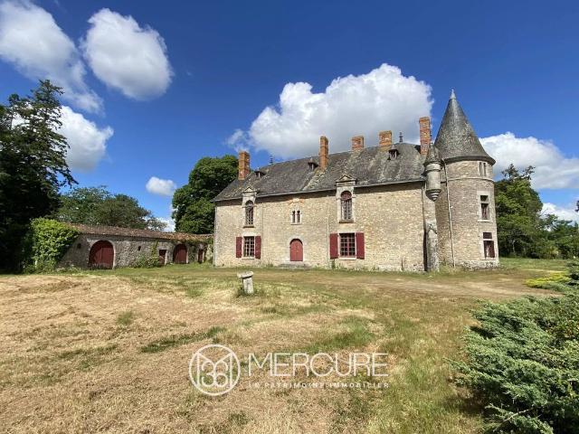 Château vente à Les Sables-d'Olonne, Moutiers-les-mauxfaits