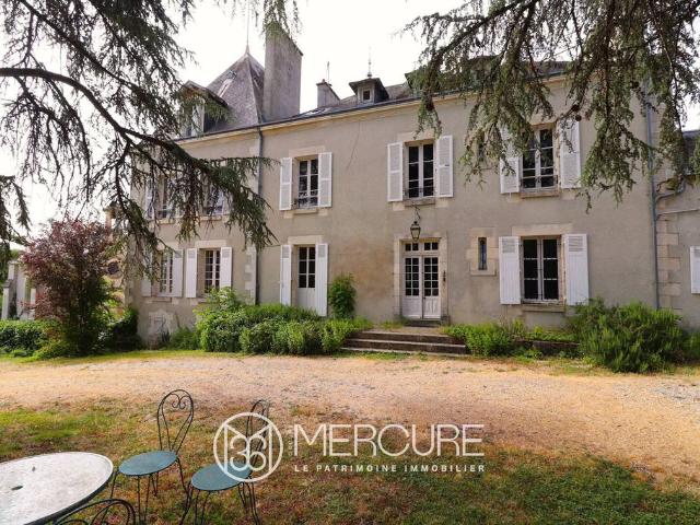 Château vente à Le Blanc