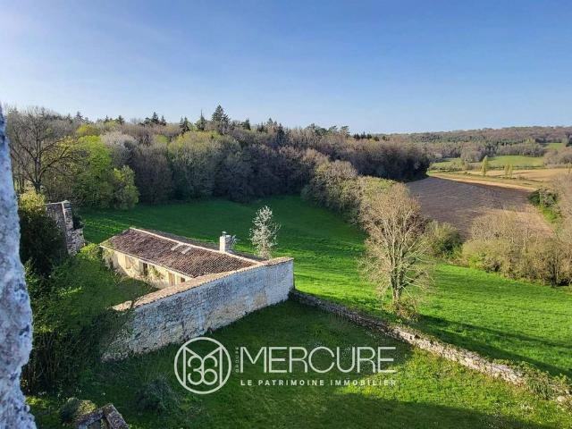Château vente à Angoulême, Aignes-et-puypéroux