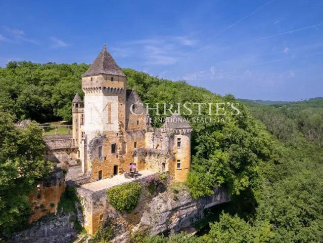Château vente à Sarlat-la-Canéda, Sarlat-la-canéda