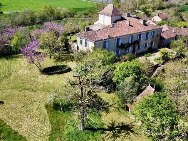 Château vente à Mirande
