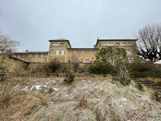 Château vente à Sarlat-la-canéda