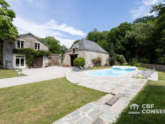 Château vente à Bassignac, Cantal
