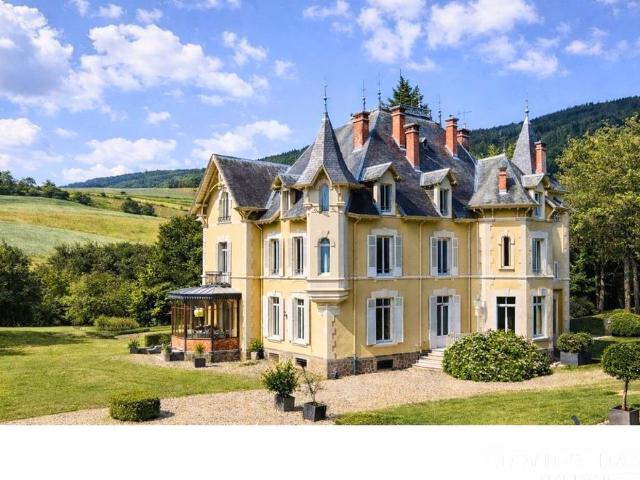 Château vente à Saint-Étienne, Saint-julien-molin-molette