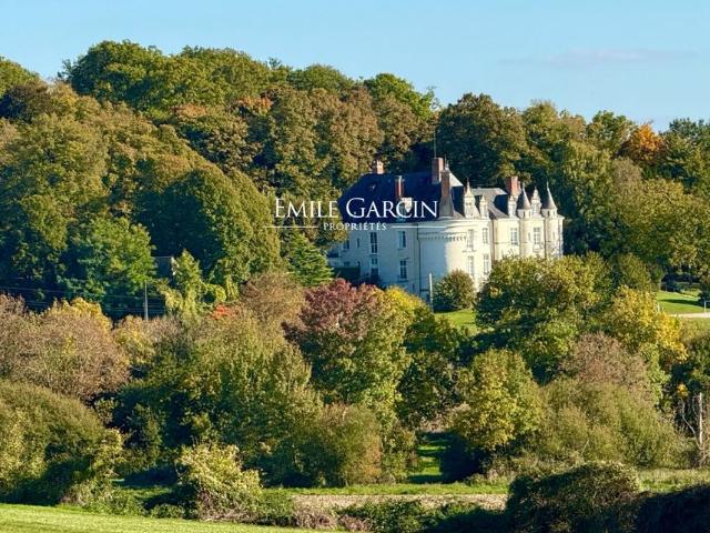 Château vente à La Flèche, Château-du-loir