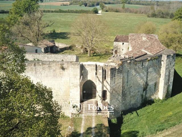 Château vente à Saintes