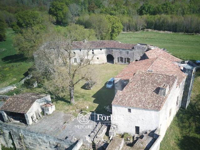 Château vente à Saintes