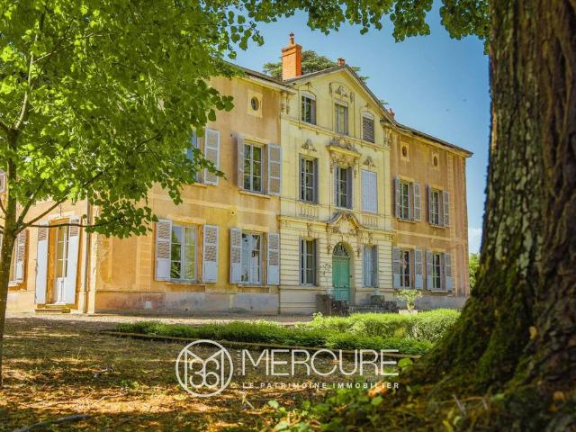 Château vente à Villefranche-sur-Saône, Rhône
