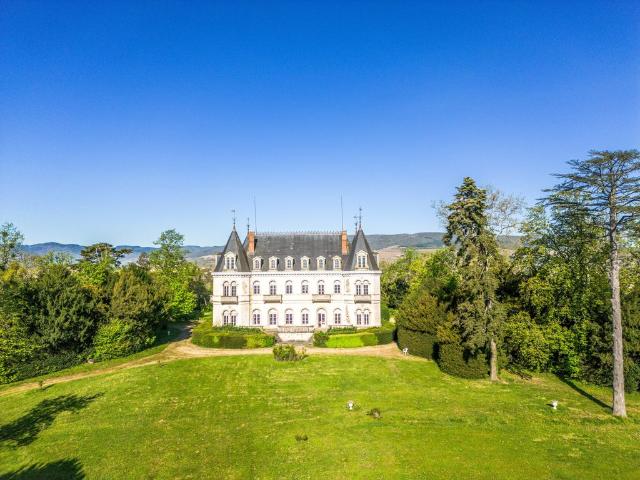 Château vente à Villefranche-sur-Saône, Rhône