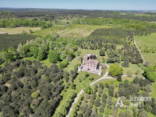 Château vente à Casteljaloux