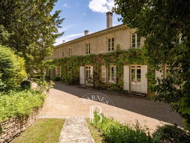 Château vente à Bourg-en-Bresse, Montmerle-sur-saône