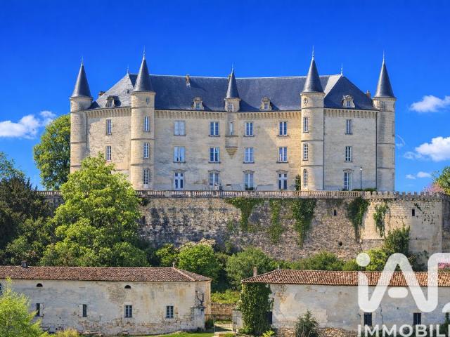Château vente à Angoulême, Aignes-et-puypéroux