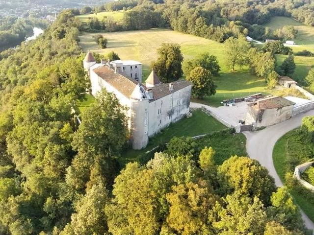 Château vente à Pont-d'ain