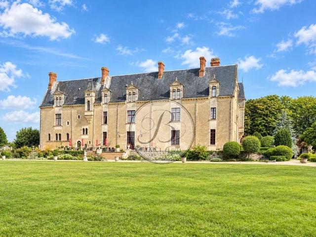 Château vente à La Roche-sur-Yon, Aizenay