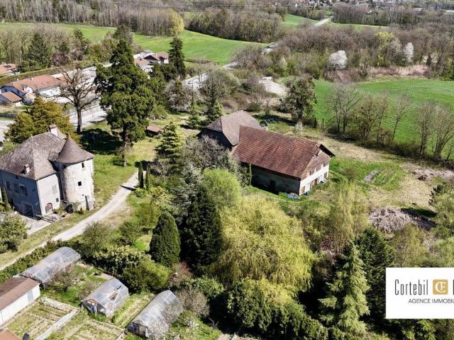Château vente à Saint-Julien-en-Genevois, Arthaz-pont-notre-dame