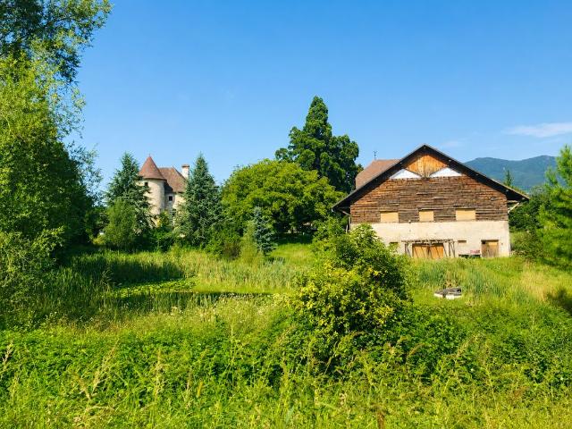 Château vente à Saint-Julien-en-Genevois, Arthaz-pont-notre-dame