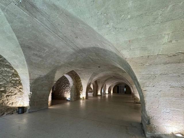 Château vente à Avignon