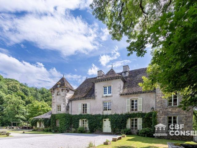 Château vente à Mauriac, Bassignac