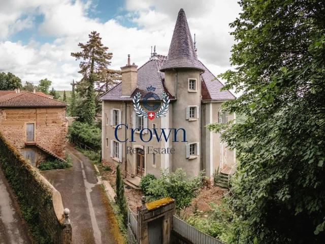 Château vente à Belleville, Belleville-en-Beaujolais