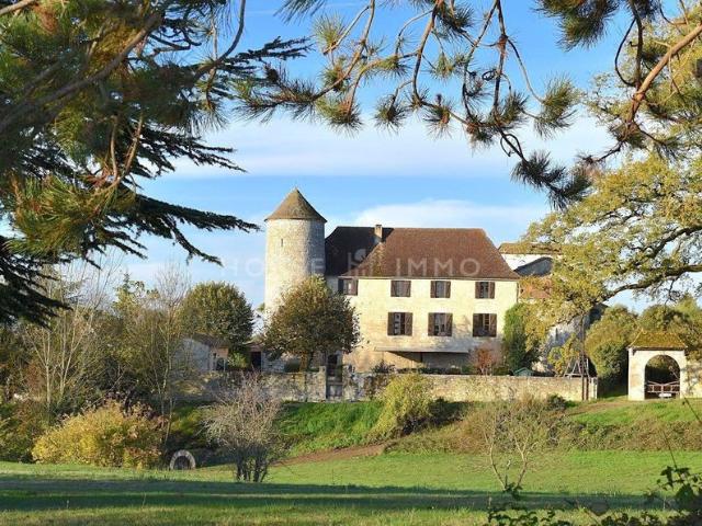 Château vente à Bergerac