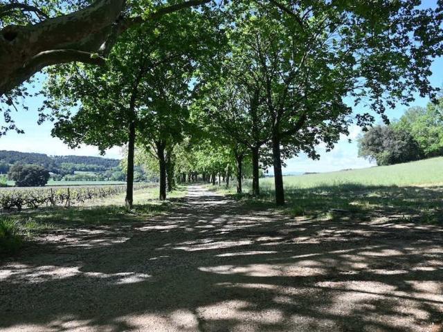 Château vente à Carpentras, Bollène